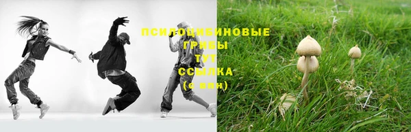 jwh Белокуриха