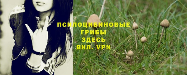 синтетический гашиш Беломорск